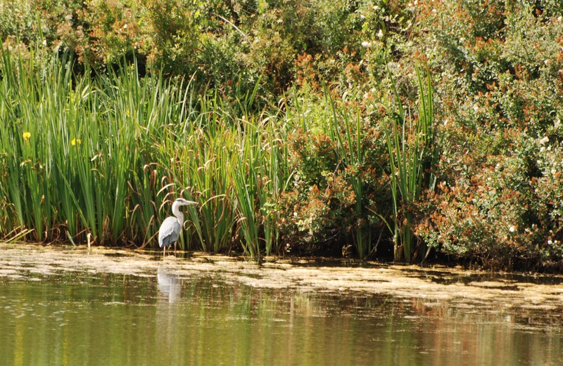 Copie de DSC_3541.JPG