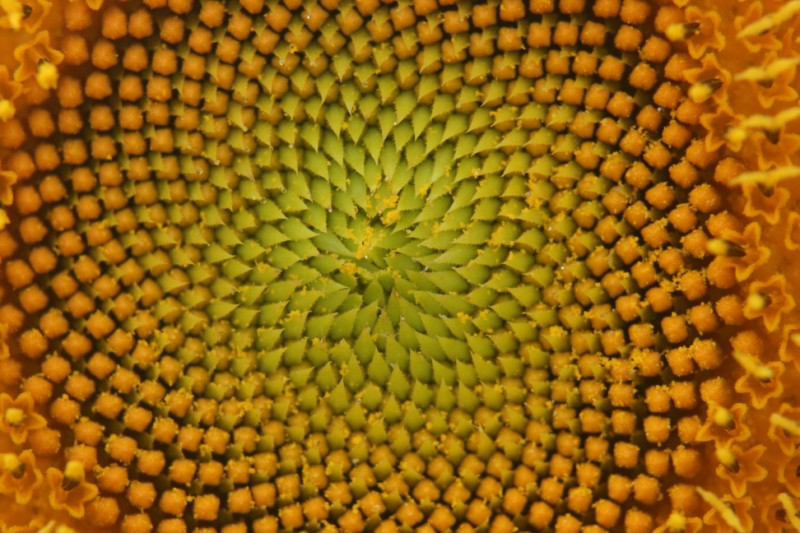 IMG_1870 [800x600].JPG