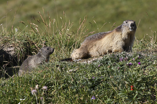 IMG_0602 copie copie.jpg