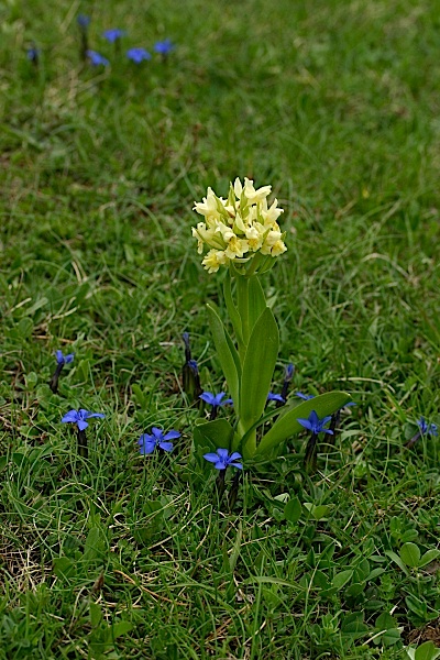 P1.jpg