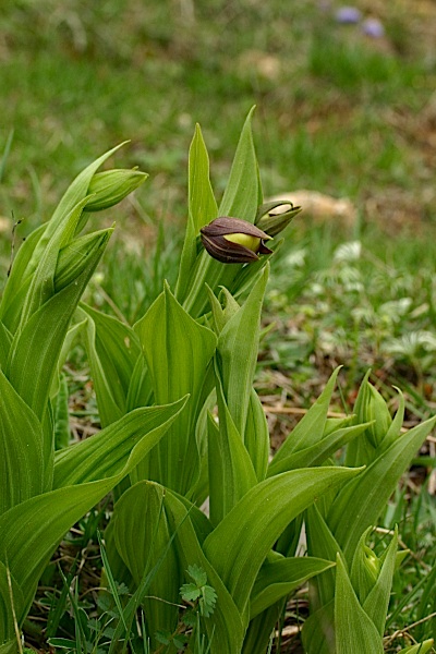 P3.jpg