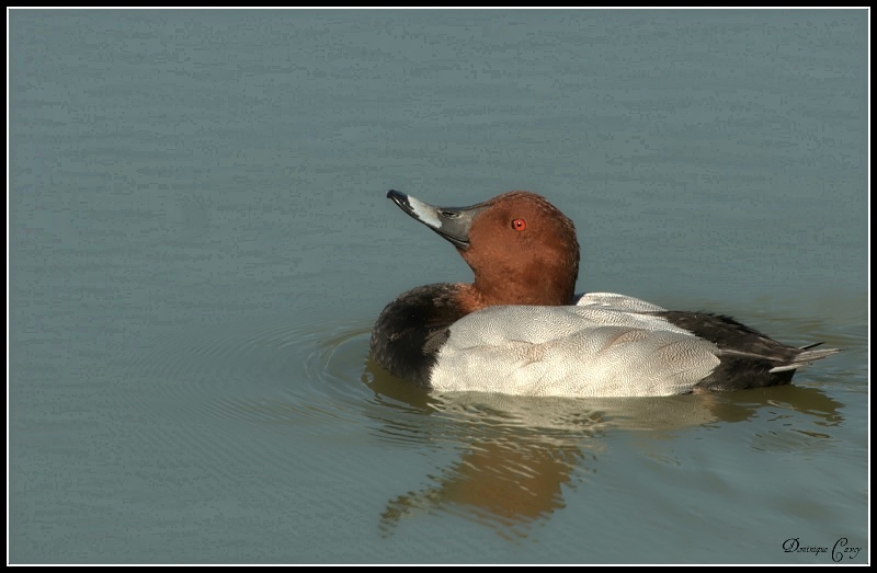 DSC_3510.jpg