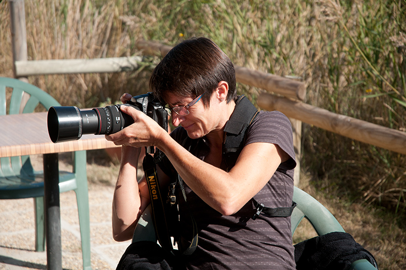 _DSC4568.jpg