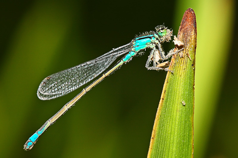 SÃ©ance de dÃ©gustation.jpg