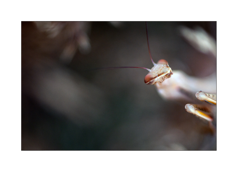 juillet2011 (1 of 1).jpg