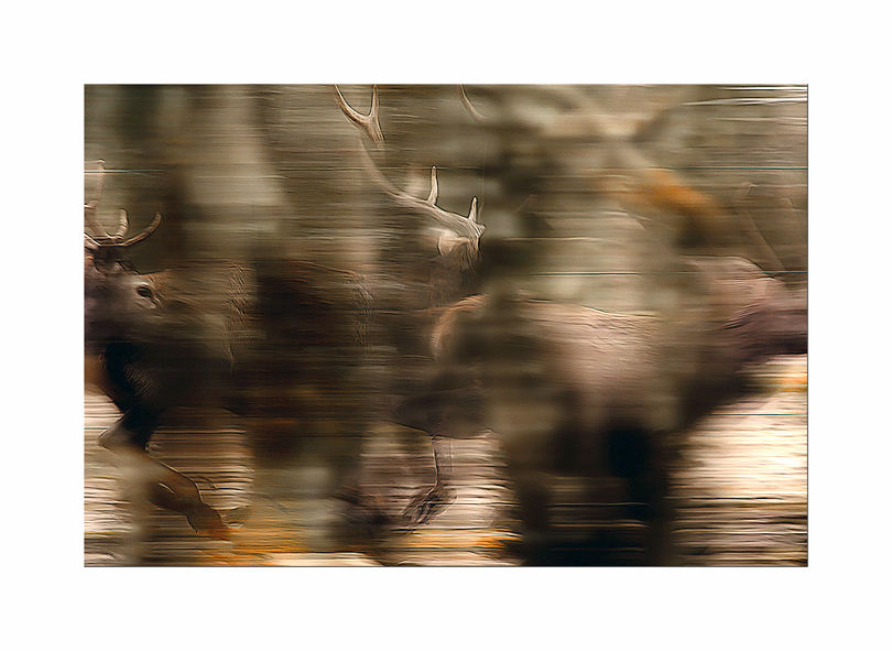 Fevrier2011 (1 of 1).jpg