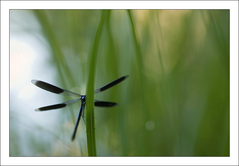 Le joyau caché_DSC9662.jpg