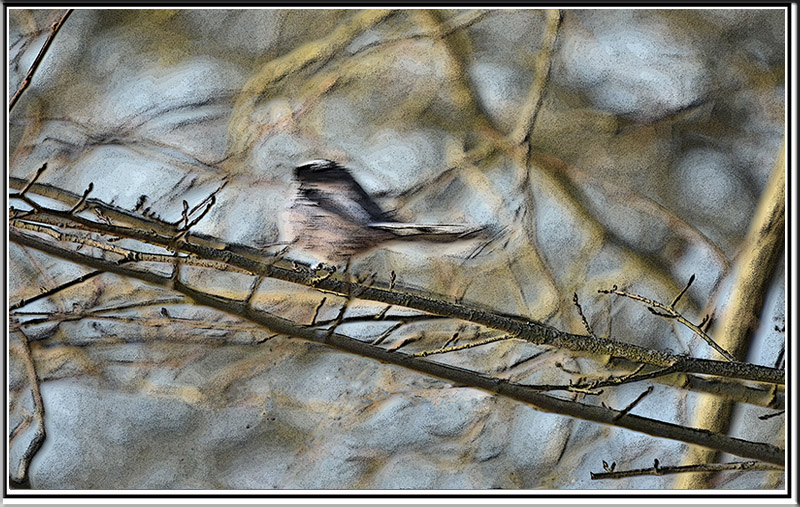 i et n contour post.jpg