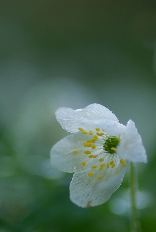 2011-IMGP5795.jpg