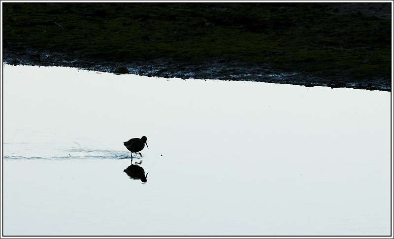 20090103-_DSC2036 copie.jpg