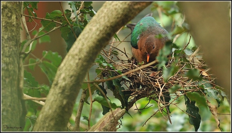 DSC_6327.JPG