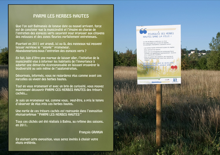 Flyer verso corrigé.jpg