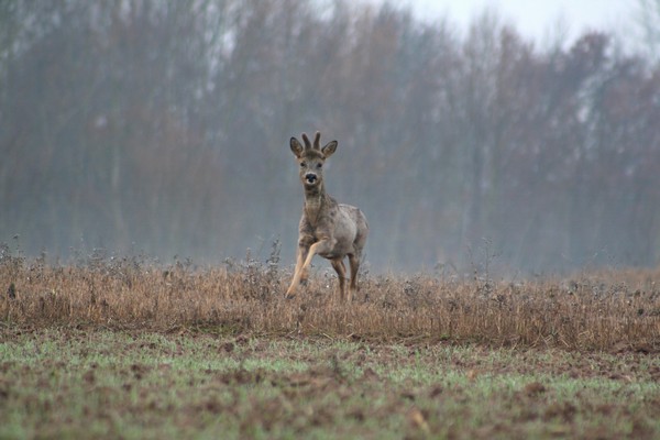 taille image & nature.jpg