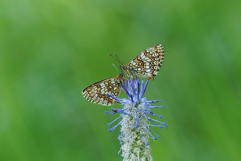 symétrie @julienheuret.jpg