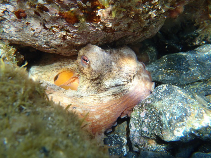 P7310003 - Copie.JPG