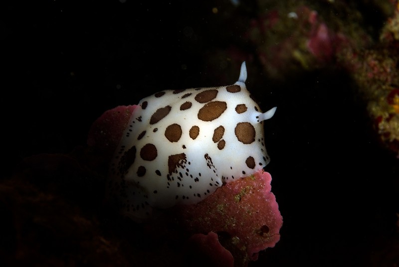 20120606 0023_R.jpg