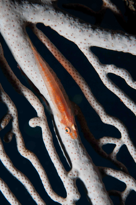 12022012-3.jpg