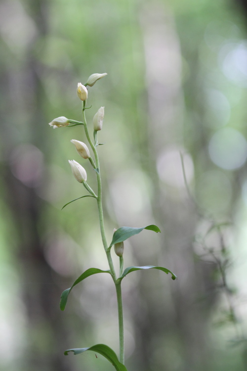 _MG_3944.JPG