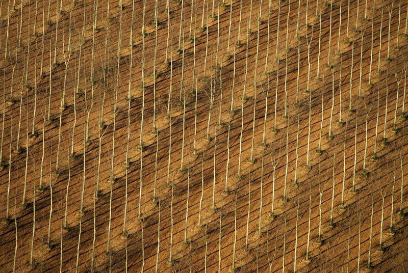 6156036062_6d6eaa7fdf_b[1] [a].JPG