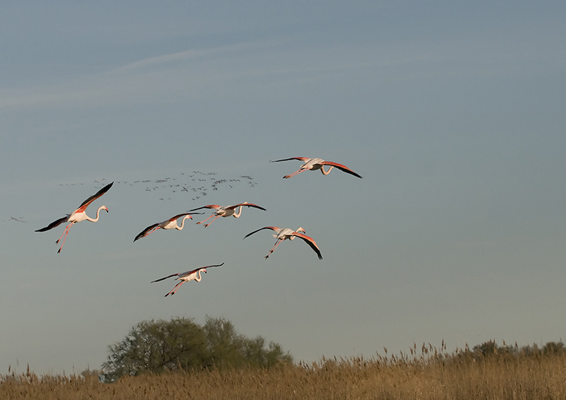 DSC_5810B.jpg