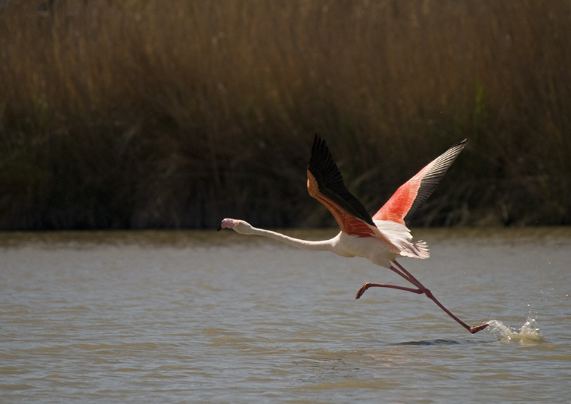 DSC_5539.jpg