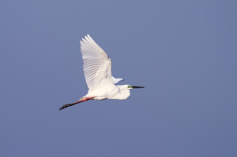 IMG_4639.JPG