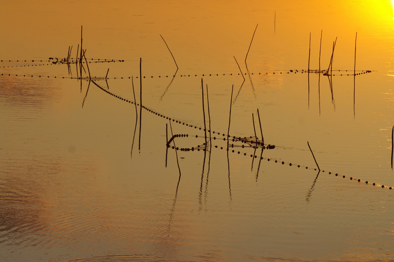 Capechade de feu.jpg