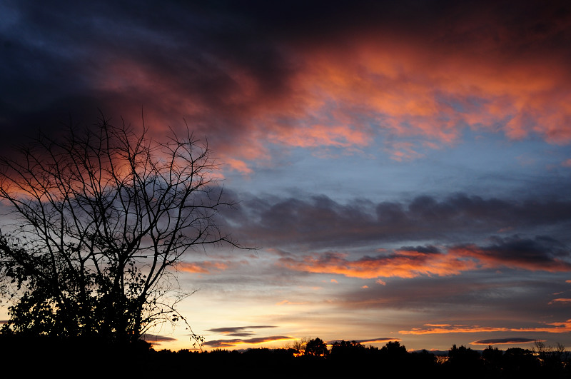 EV0_2196.JPG