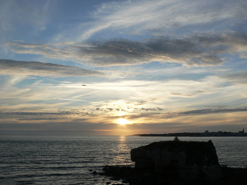 P1130017-copie_modifié-2.jpg