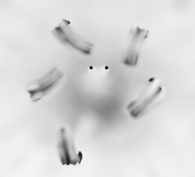 sans titre (148 sur 1).JPG