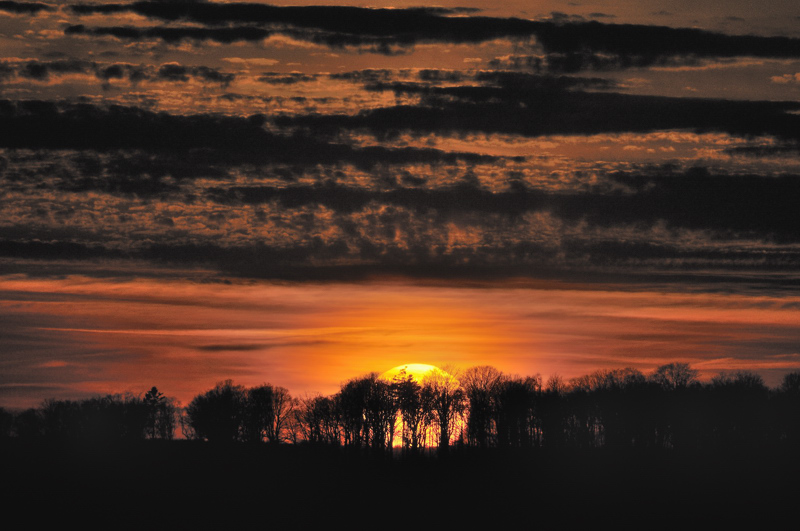 2_DSC1165.jpg