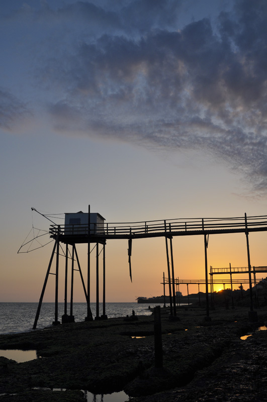 DSC_0516.jpg