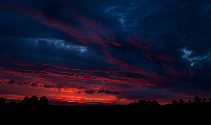 DSC_0111-1.jpg