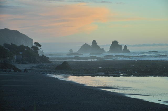DSC_0037 1.jpg