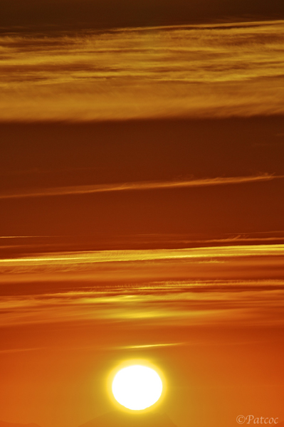 DSC_7162.jpg