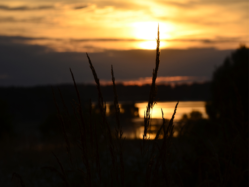 coucher de soleil.jpg