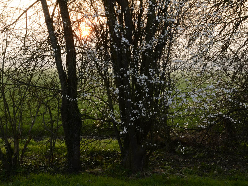 coucher de soleil2.jpg