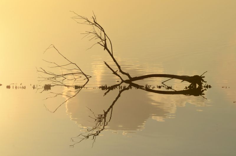 1112-Vitrolles Salins du lion-05.JPG