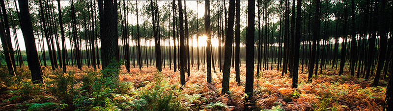 LES GRANDS ESPACES.jpg