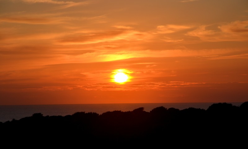 DSC_0180 - Copie.JPG