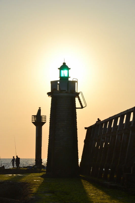 DSC_0100 (533x800).jpg