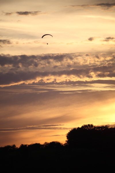 5DMk2-Tamron SP 500 F8_2012-08-27_0250.JPG